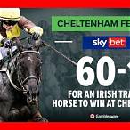 cheltenham race bet